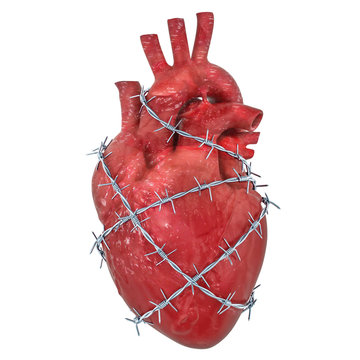 Heart Pain concept. Human heart with barbed wire. 3D rendering