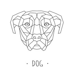 Dog stylized triangle polygonal model. Vector illustration