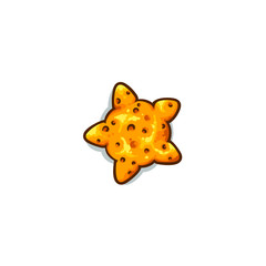 Cartoon cute cookie star, vector illustration isolated on white background, sweet delicious