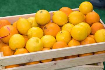 Boxes with a new harvest of a citrus. Juicy oranges and lemons