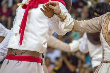  Details of the hands of typical gaucho dancers.
