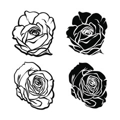 Vector realistic sketch of black roses, vector illustration isolated on white background