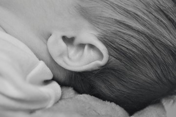 the baby&acute;s ear