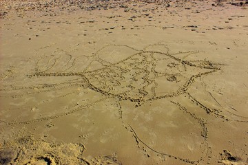 plage de sable