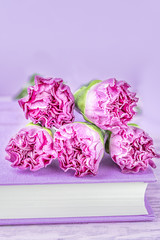 Bright pink carnation flowers and a book on a light purple background. Copy space