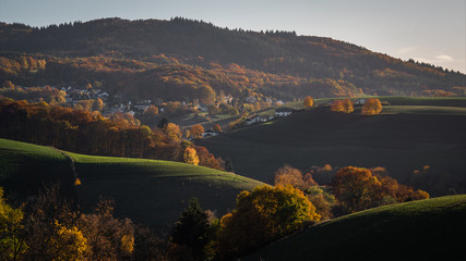 Fototapeta premium Herbst Odenwald