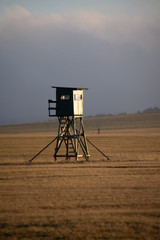 Hochsitz in der Abendsonne