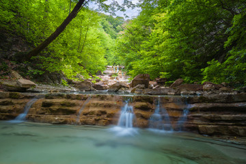 Obraz premium River in mountain of Caucasus. Summer landscape with waterstream and water in forest of Caucasus mountain.