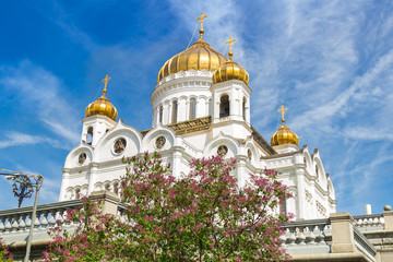Fototapeta na wymiar View of the Cathedral of Christ the Saviour in Moscow in spring sunny day. Around lilac trees blossom