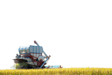 Combine harvester on rice field .White background and copy space.