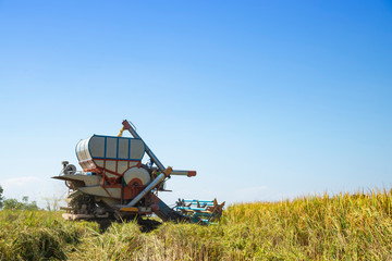 Combine harvester on rice field with blue sky in sunny day.