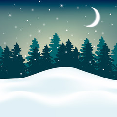 Vector wintry landscape with night sky and light moon