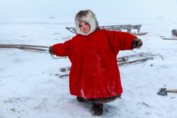 A resident of the tundra, indigenous residents of the Far North, tundra, open area, children ride on sledges, children  in national clothes,Little girl in red clothes;Nenets-Malitsa clothing