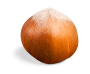 Hazelnut. Collection of nuts isolated on white