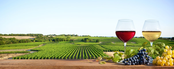 Deux verres de vin sur paysage de vigne en France