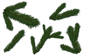 Naklejka premium Set of fir branches. Christmas tree, pine, winter. Merry Christmas and Happy New Year