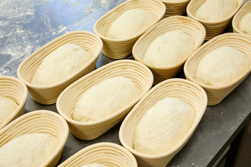 Bread making process, bread dough in a row at the bakery