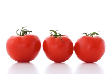 tomatoes isolated on white background