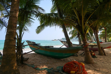 Fototapeta na wymiar Traditional Oruwa fishing boat between palms, sri Lanka