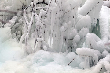 Tree branches frozen in the ice. Frozen tree branch in winter forest.Frozen waterfall