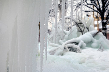 Tree branches frozen in the ice. Frozen tree branch in winter forest.Frozen waterfall