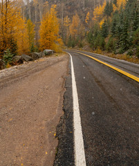 A paved mountain road cuts through evergreen forest and yellow and orange aspens of autumn as the moody first snow descends on the mountains