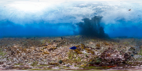 Dead coral reef with waves
