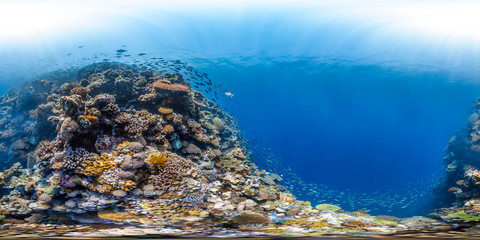 360 of colorful reef