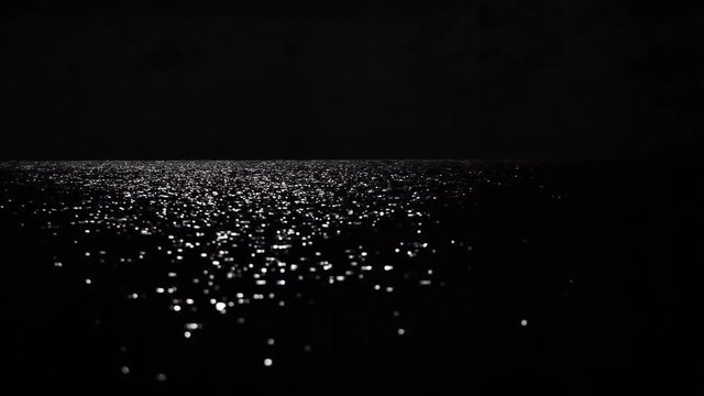 The night sea reflects the bright moonlight