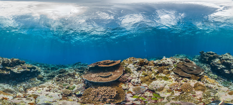 Panorama photo of a healthy coral reef in American Samoa 