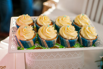 cupcakes with frosting and sprinkles