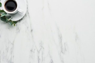 Cup of coffee with eucalyptus on a marble table with copy space for text. Top view.