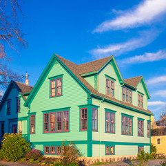 windows of a green house