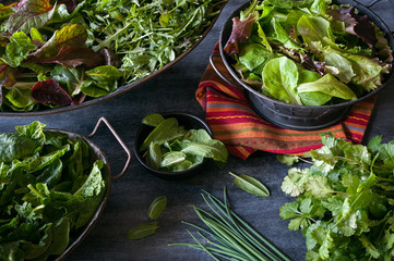 Assorted bowls filled with a variety of leafy greens including lettuce, chard, arugula, and spinach.  