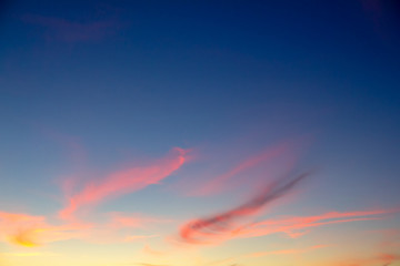 Beautiful summer sunset. Bright pink clouds are in the deep blue sky. Clouds are like brushstrokes.
