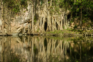 Cenote