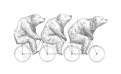 freehand, bear, Bruin, family, bicycle, travel, Christmas, new Year, Chukovsky, good, science, biology, book, children, poems, big, realism, pen, line, thin, kind, wool, fast, wheels, steer, motion, w