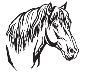 Decorative portrait of horse vector illustration 9