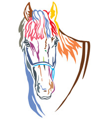 Colorful decorative portrait of horse vector illustration 3
