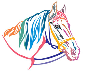 Fototapeta na wymiar Colorful decorative portrait of horse vector illustration 5