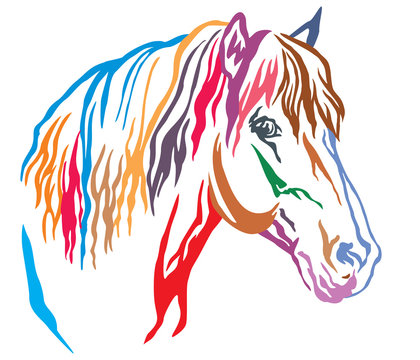 Colorful decorative portrait of horse vector illustration 8