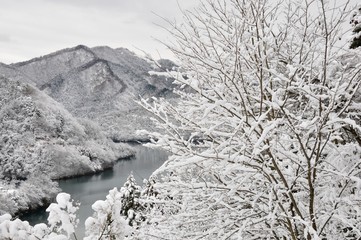 雪景色の湖畔