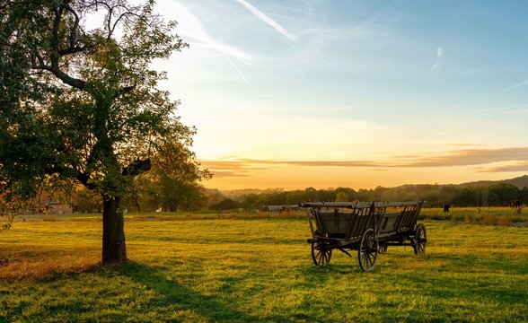 Hay wagon on the field at sunset, flatness, Saxon Switzerland, Saxony, Germany, Europe