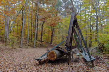 crushed shelter in autumn forest