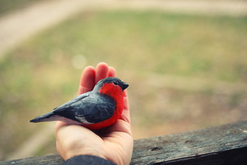 wooden bullfinch in the hand