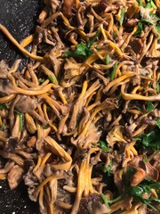 chanterelles en automne