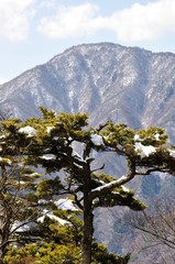 Obraz premium 雪景色の御正体山