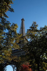 Eiffel tower view from the trees - 235006203