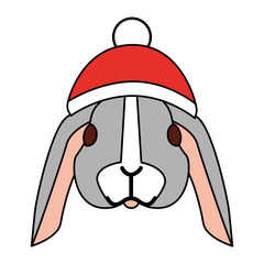 cute rabbit with warm hat christmas
