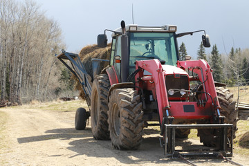 Fototapeta premium Tractor with hay